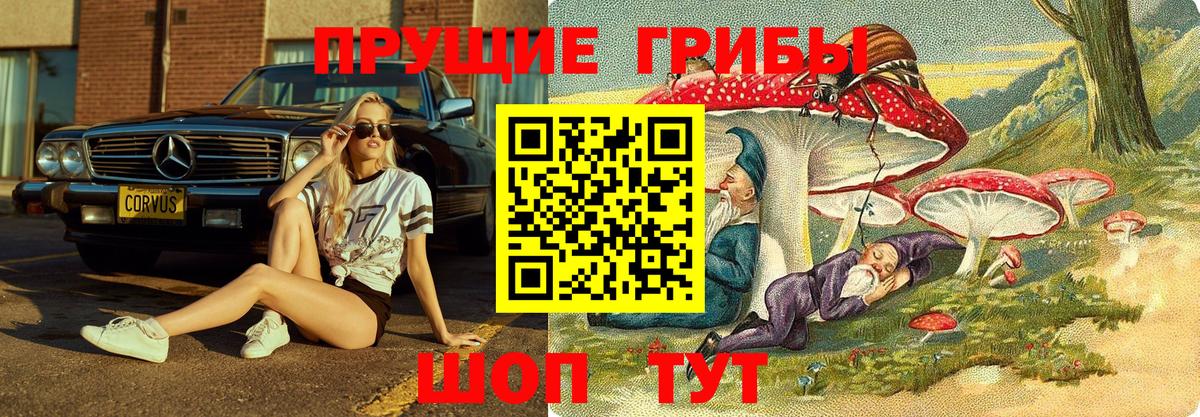 Галлюциногенные грибы прущие грибы  Вход с VPN  купить закладку  Апрелевка 